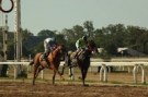 730963_speed