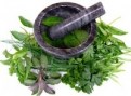 herb3