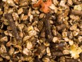 pasture_mix